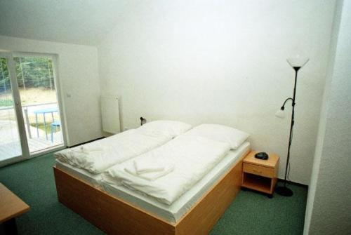 Motel Dacice Room photo